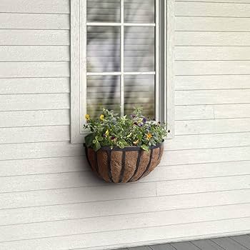 置物 Salad Days NEW] October 2024 Salad Kit - Trader Joe's Pizza Salad Kit